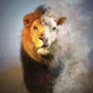 Meet your Posher, Samuel